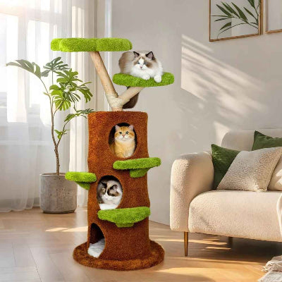 arbre à chat salon 3 chats couchés dedans
