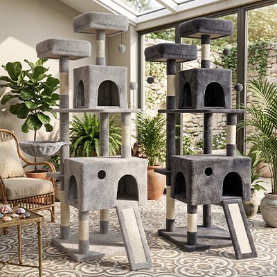 Arbre a Chats belle hauteur de 162 cm | Confort Optimal | chatjoue