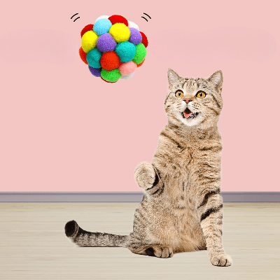 Balle pour Chat - JingleChase™ - Multicouleur - Chatjoue