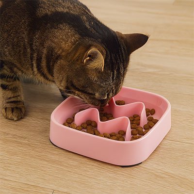 Gamelle anti glouton Chat avec motif vagues