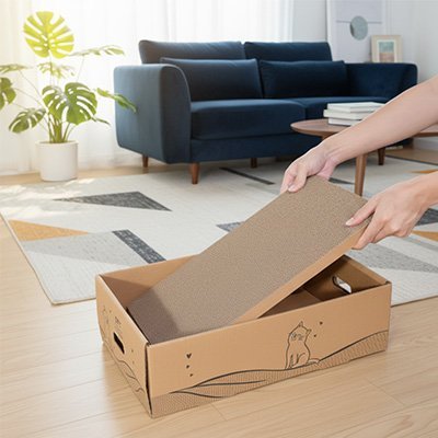 Griffoir Chat carton | Eco - Friendly - Chatjoue