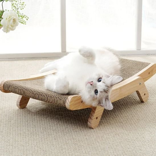 Griffoir pour chat | Protection Meuble Sisal Naturel - Chatjoue