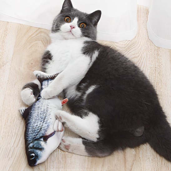 Jouet chat interactif poisson réaliste - Chatjoue