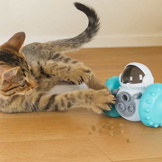 Jouet chat interactif | FelinStim - Chatjoue