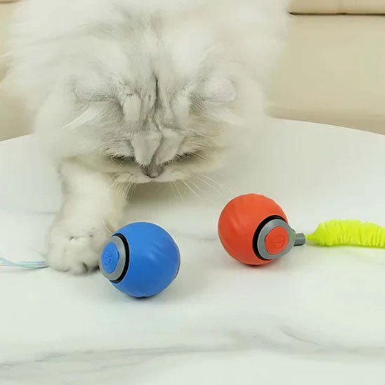 Jouet chat interactif | StimFeline - Chatjoue