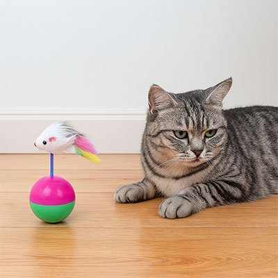 Jouet chat balle à basculement de 180° | Interactif Félin - Chatjoue