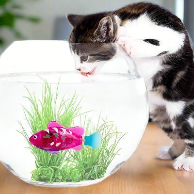 Jouet Interactif Chat - CatchyFish™ - Fushia - Chatjoue