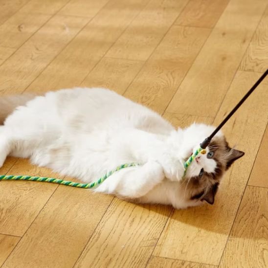 Jouet Corde Interactif pour Chat - Stimule l'Instinct de Chasse - Chatjoue - Chatjoue