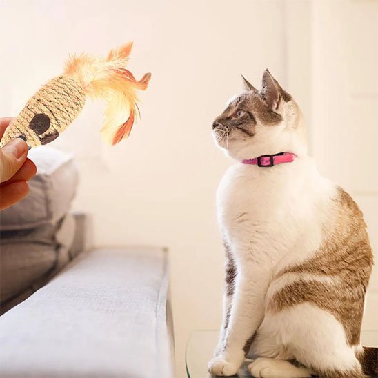 Jouet pour Chat Interactif souris en sisal et plumes - Chatjoue