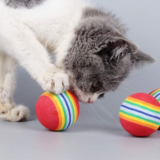 Jouet pour chat balle multi - couleurs mousse | Interactif - Chatjoue