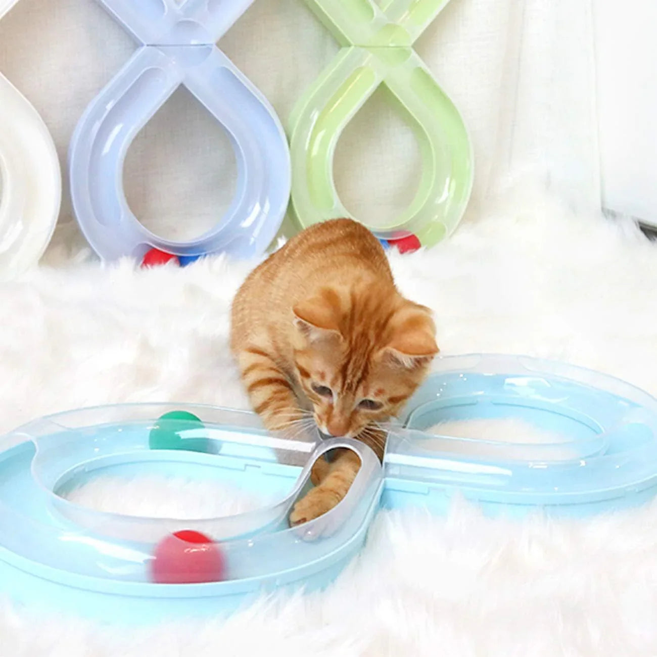 Jouets Interactifs Pour Chat - HouseholdTurntableTunnel™ - Bleu - Chatjoue