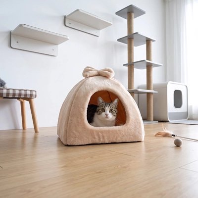 Niche pour Chat beige et chat couché dans salle jeux