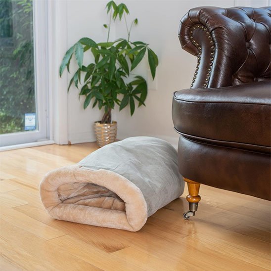 Panier Chat discret dans le salon