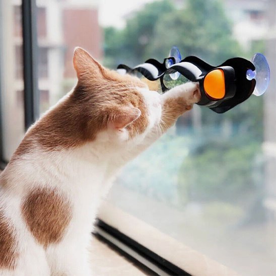 Jouet pour chat | Interactif Premium - Chatjoue