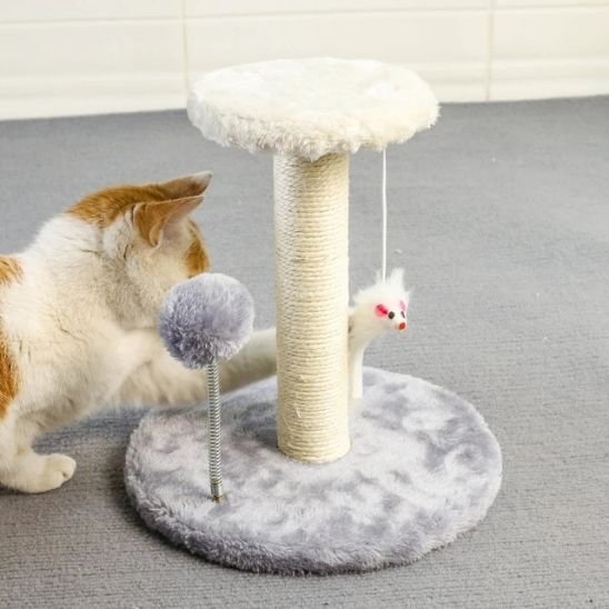 Griffoir chat | Design Protect - Chatjoue