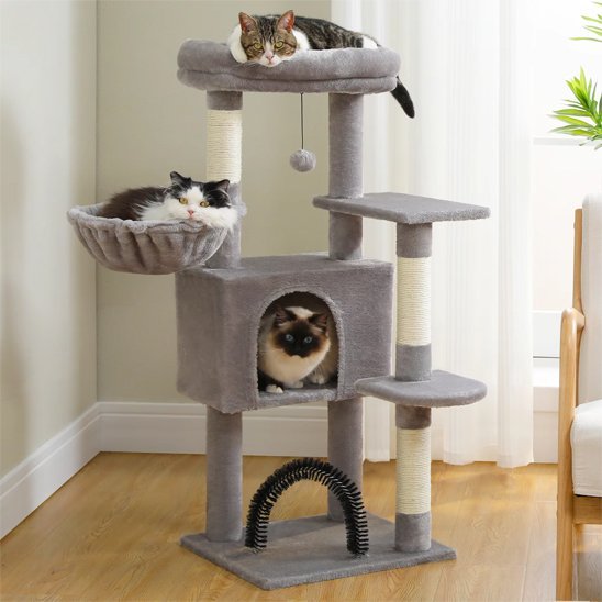 Arbre à chat | Multi - niveaux - Chatjoue