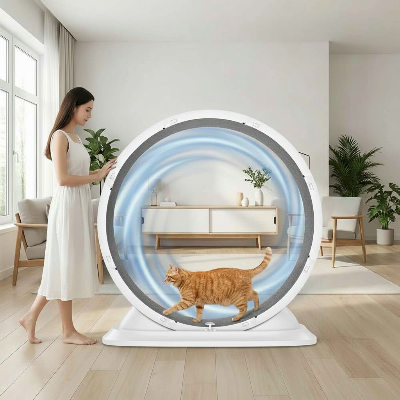 Roue pour chat élégante