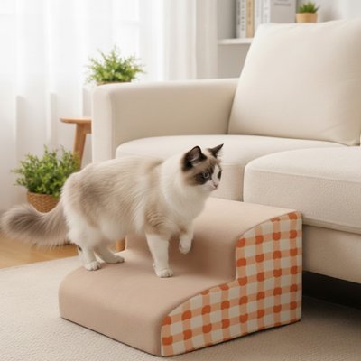 siamois sur Escalier pour chat 2 marches devant canapé