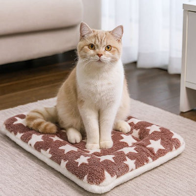 Tapis chat lavable en machine à laver