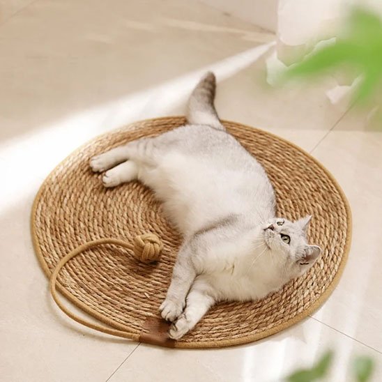 Tapis griffoir chat
