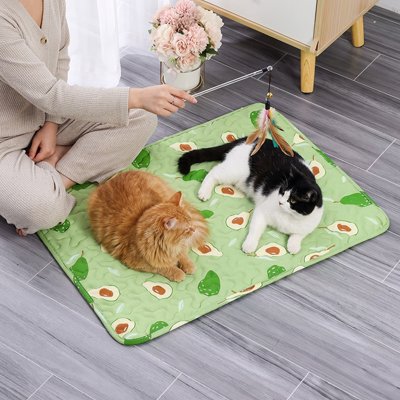 Tapis rafraichissant Chat vert femme et chats jouent