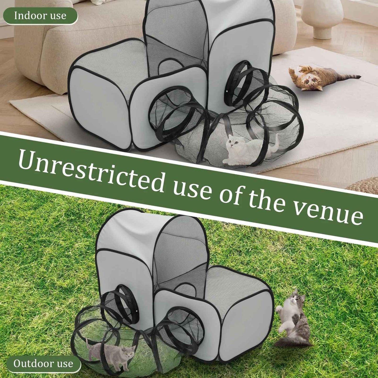 Tunnel pour Chat | FéliFun - Chatjoue