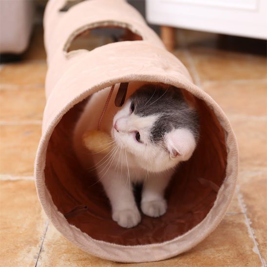 Tunnel pour Chat | Pliable 2 trous - Chatjoue