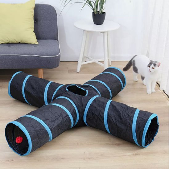 Tunnel pour chat pliable | Jouez & Explorez - Chatjoue