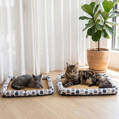 2 Tapis rafraichissant Chat blanc et 2 chats couchés dessus