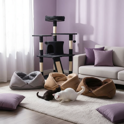 3 paniers 3 couleurs - chats qui jouent