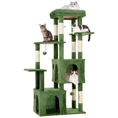 Arbre A Chat grand terrain de jeux
