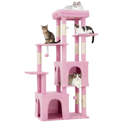 Arbre A Chat Rose avec différentes races