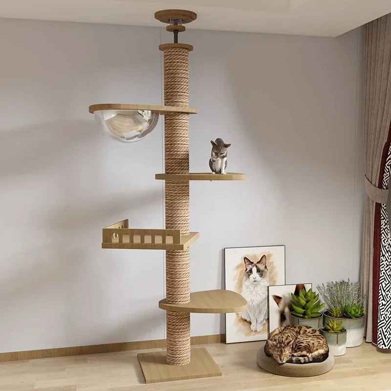 grand arbre chat salon scandinave