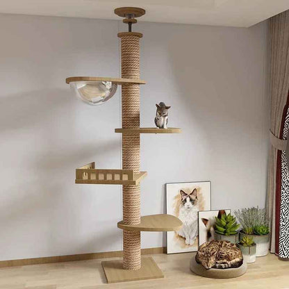 grand arbre chat salon scandinave