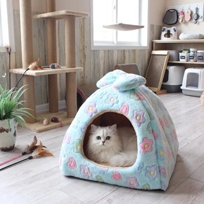 angora couché Maison pour chat fleurs salle de jeux 