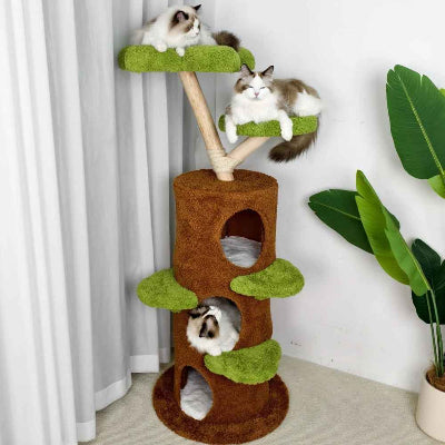 arbre à chat 2 chats couchés nichoirs et un niche 