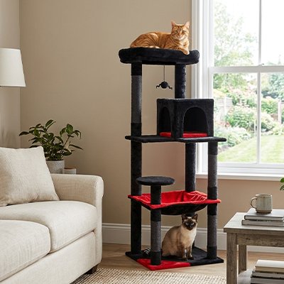 Arbre à Chat avec un hamac