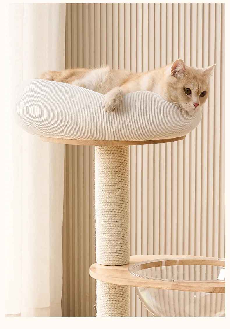 ARBRE A CHAT Bois Blanc | Élégance Naturelle - Chatjoue