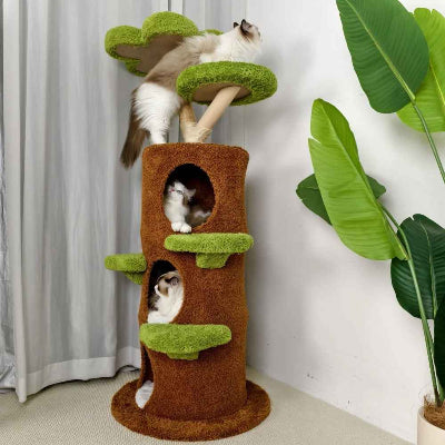 arbre à chat dans coin salon avec 3 chats 