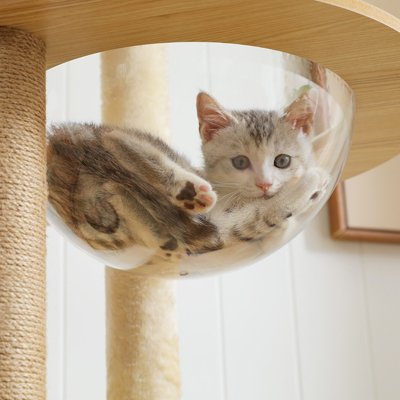 Arbre a Chat en bois avec un hamac