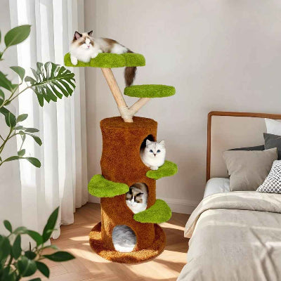 arbre à chat et chats dans la chambre devant fenêtre