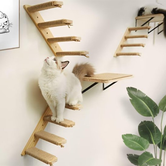 Arbre A chat mural stimule l'escalade | EspaceFélin - Chatjoue