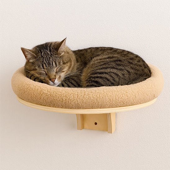 Arbre à Chat mural | Élégance Compact - Chatjoue