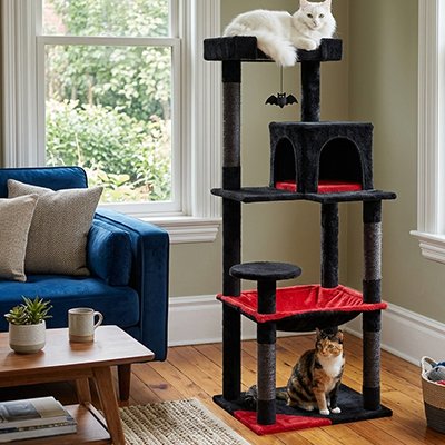 Arbre à Chat sur plusieurs niveaux