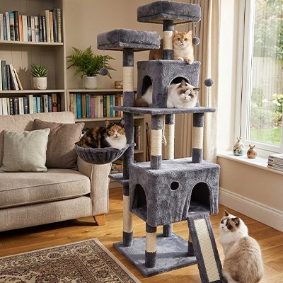 Arbre à Chats un gris foncé 