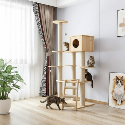 Arbre à chat bois salon chat tigré