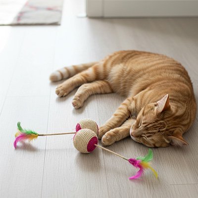 Balle chat avec son plumeau | en sisal et avec plumeau en couleur - Chatjoue