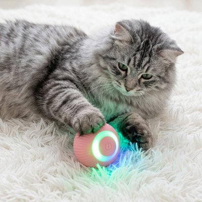 Balle interactive chat avec une lumière verte
