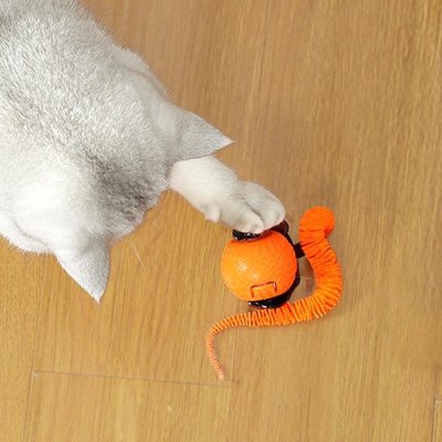 Balle interactive chat de couleur orange