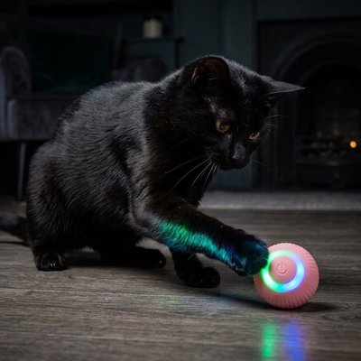 Balle interactive chat  de couleur rose